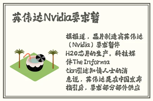 宅福利无圣光